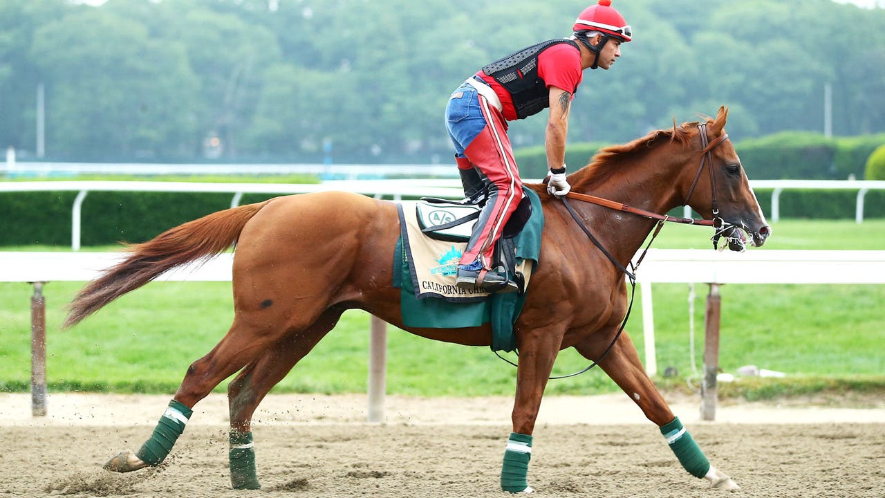 The complete Breeders' Cup bettors' buffet menu